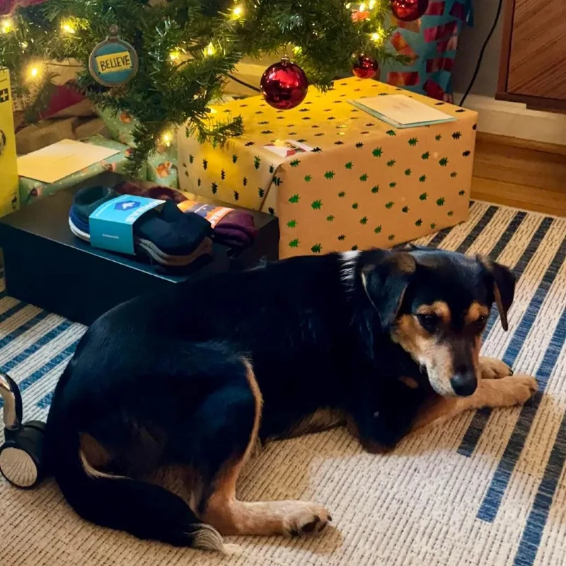 Sarah Lake thumbnail 4