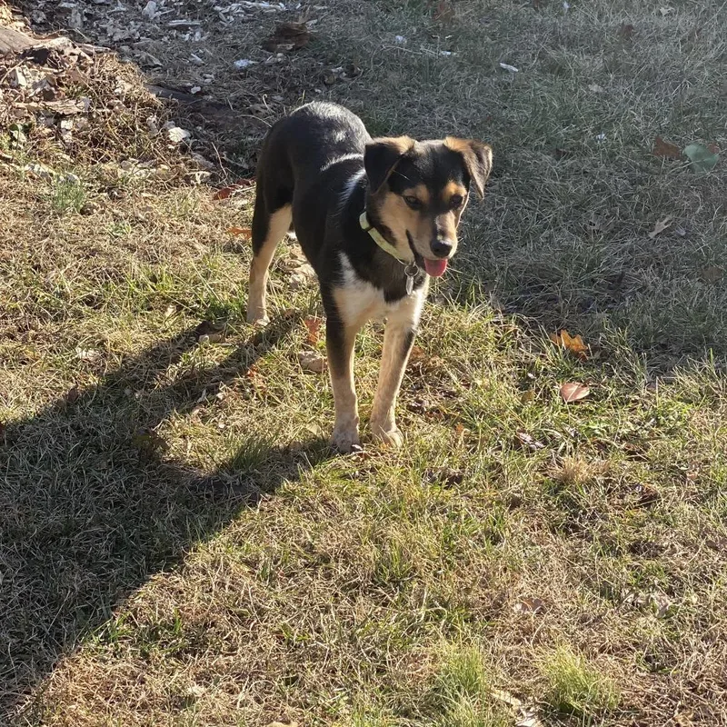 Sarah Lake thumbnail 5