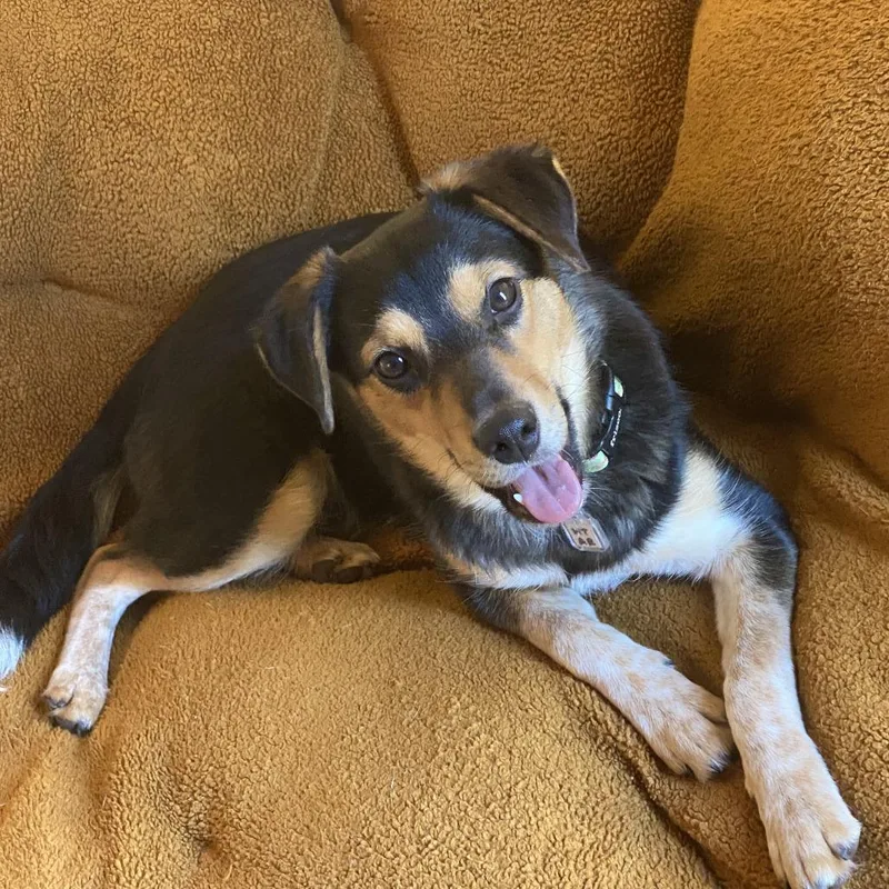 Sarah Lake thumbnail 6