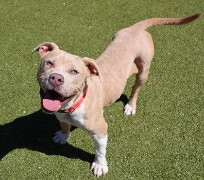 Mulan Athens thumbnail 2