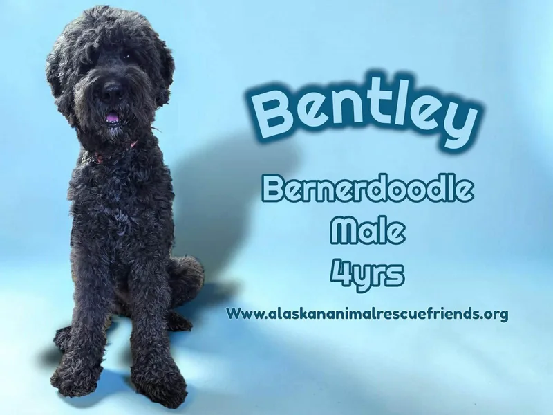 Bently
