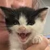Baby Moo Moo thumbnail 2