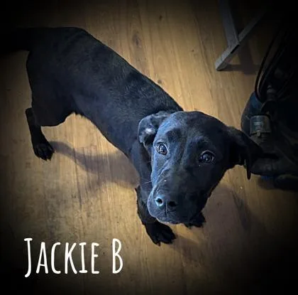 Jackie Burkhardt