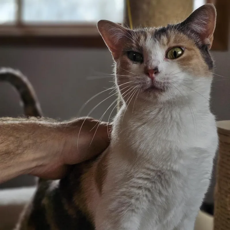 Beverly Houston thumbnail 4