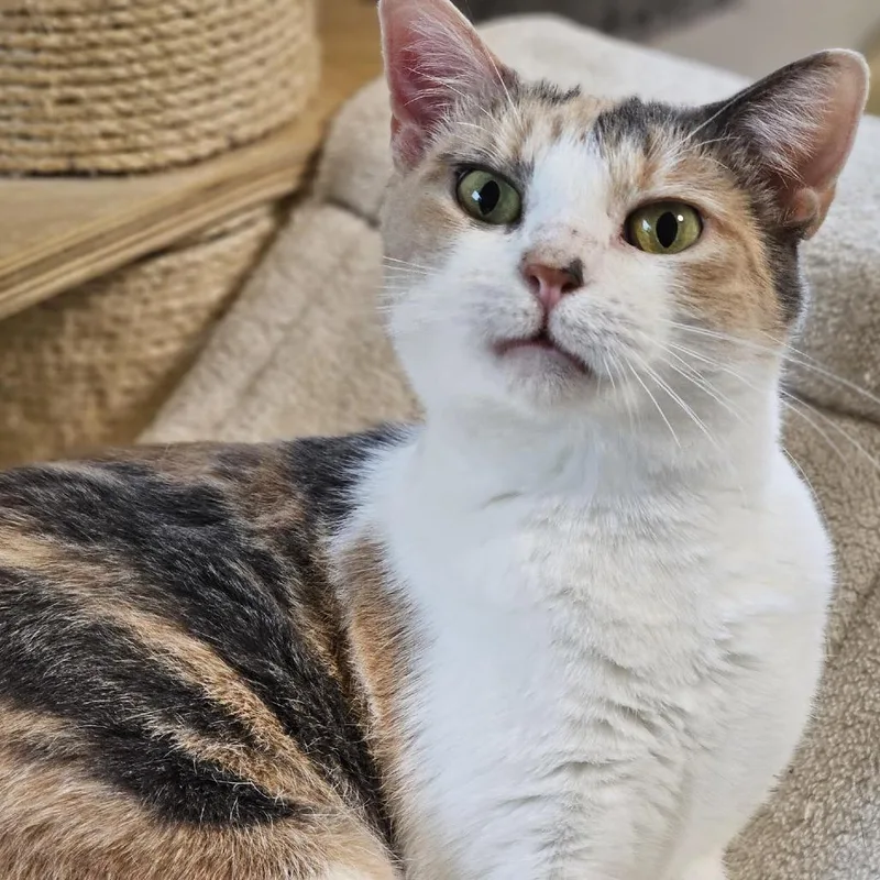 Beverly Houston thumbnail 5