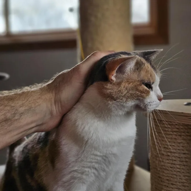 Beverly Houston thumbnail 6