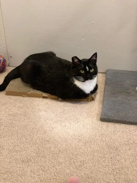 Kandy And Kieu thumbnail 2