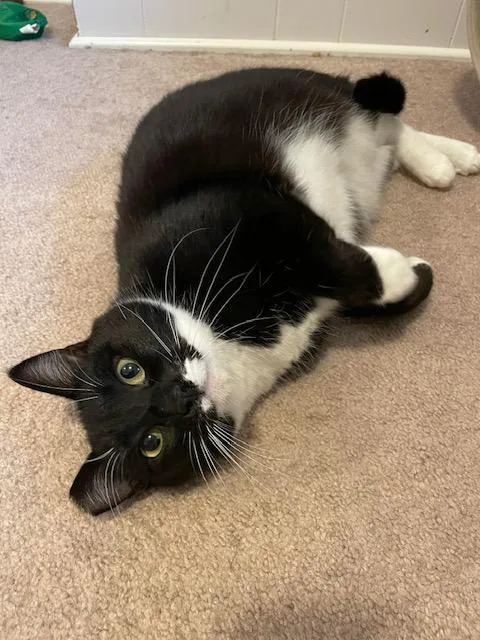 Kandy And Kieu thumbnail 3