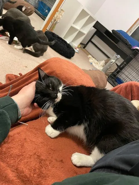 Kandy And Kieu thumbnail 5