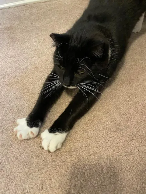 Kandy And Kieu thumbnail 6