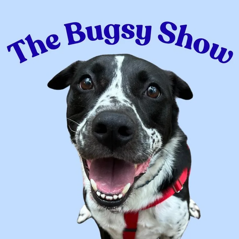 Bugsy thumbnail 3