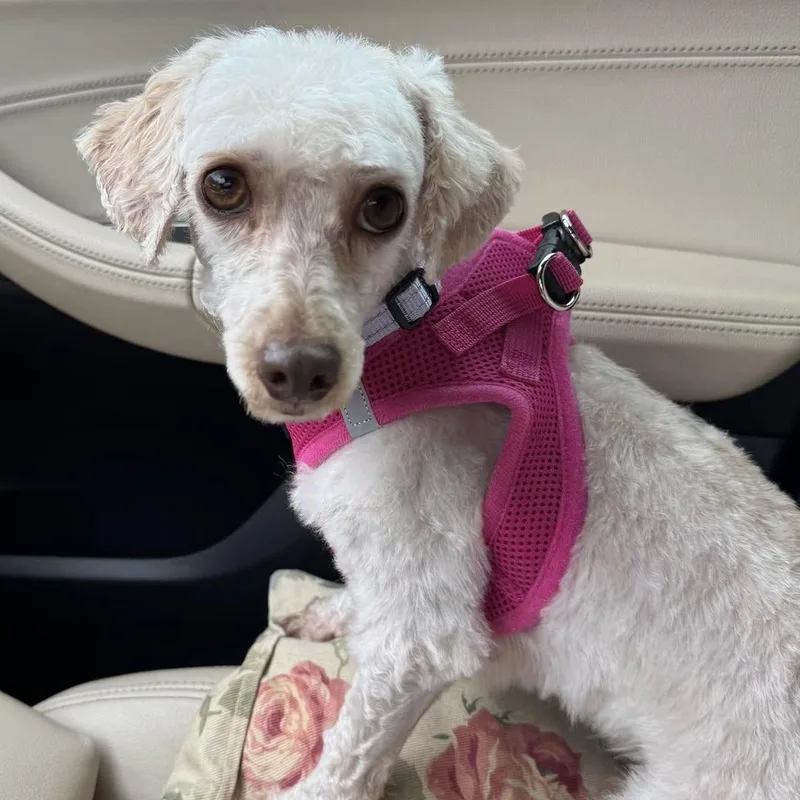 Saffon Miller thumbnail 2