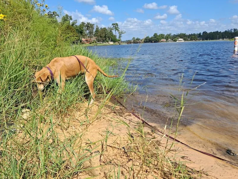 Teddy🇨🇦 thumbnail 2