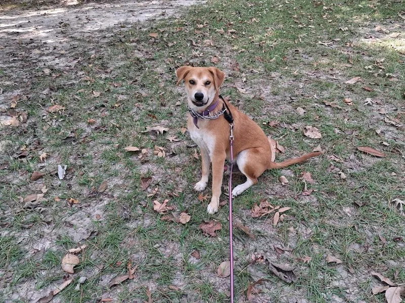 Teddy🇨🇦 thumbnail 4