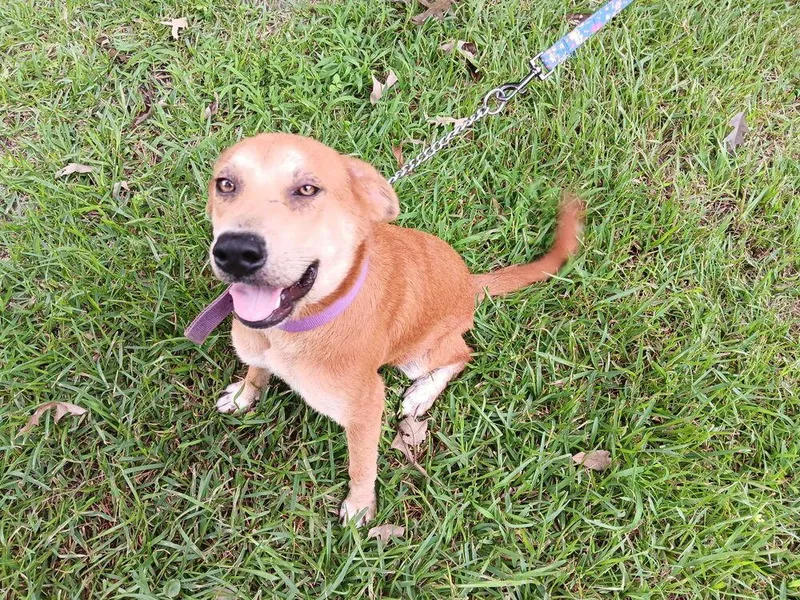 Teddy🇨🇦 thumbnail 5