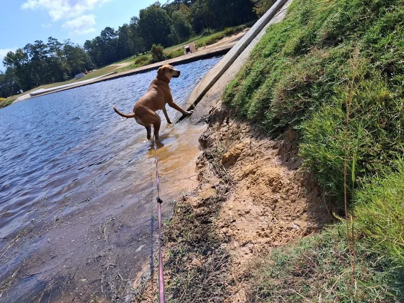 Teddy🇨🇦 thumbnail 6