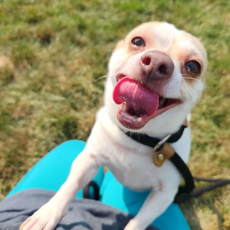 Alfie thumbnail 2