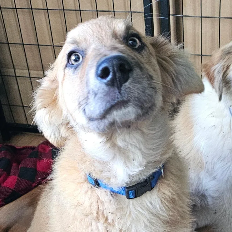 Chuckles thumbnail 3