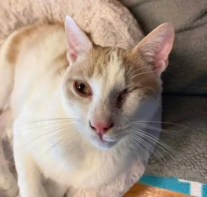 Pleakley thumbnail 3