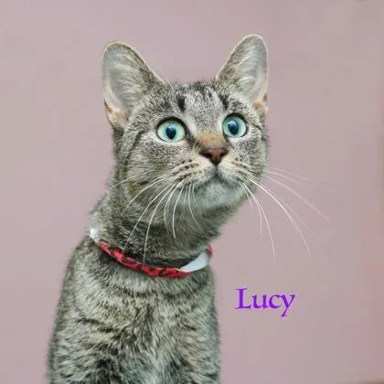 Lucy