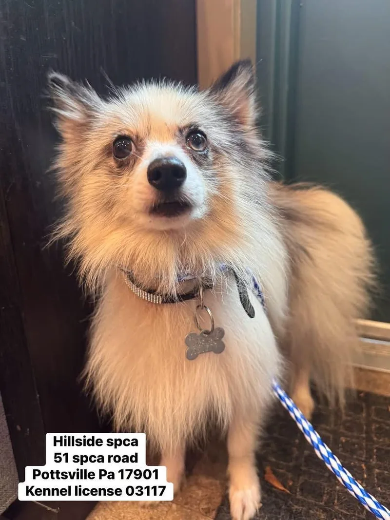 Gus
