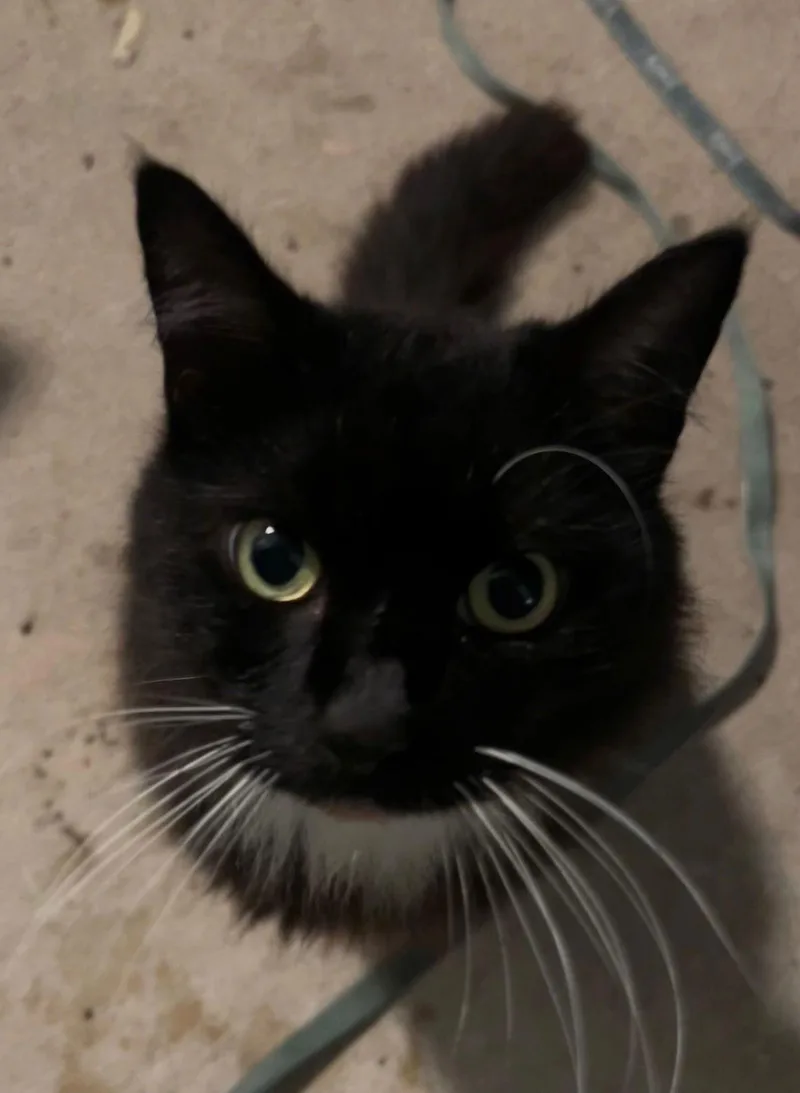 Evan  Sharp Dressed thumbnail 2