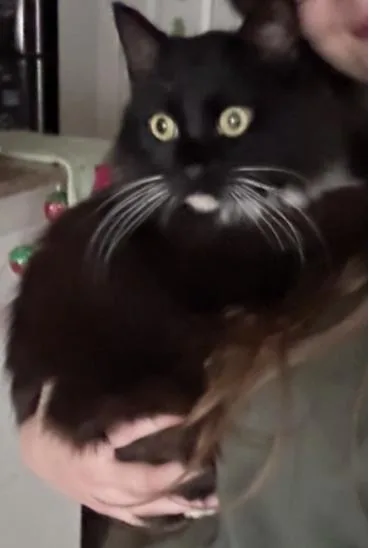 Evan  Sharp Dressed thumbnail 3