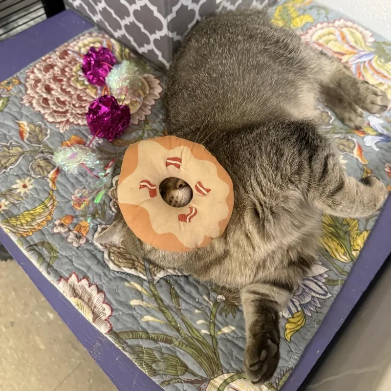 Feliciac thumbnail 6