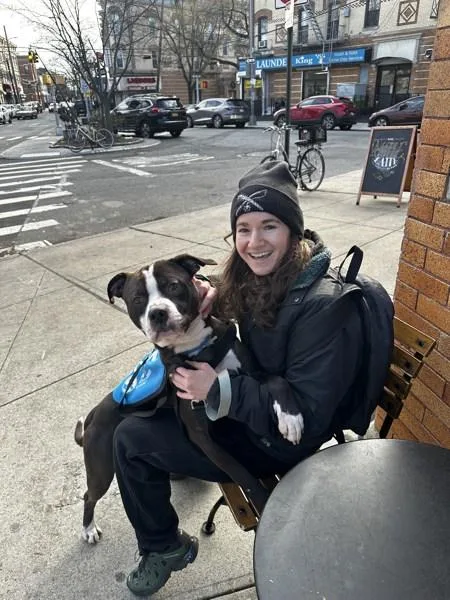 An adult large-sized male Mixed Breed dog named Bonsai for adoption in Ridgewood, NY