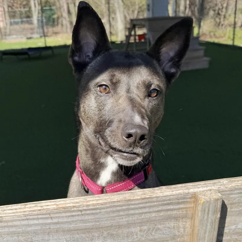 Mystique thumbnail 3