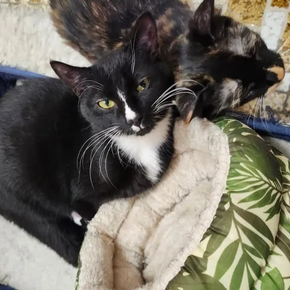 Bootsie & Betty
