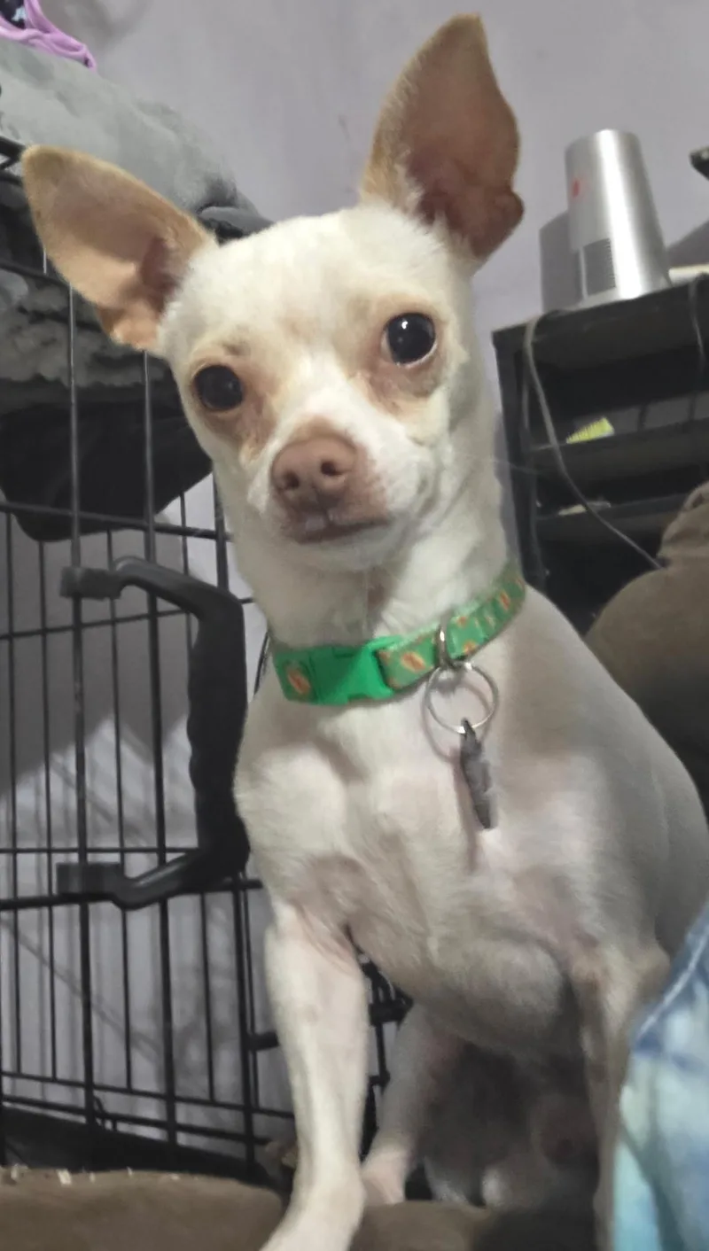 Randy And Mandy thumbnail 3