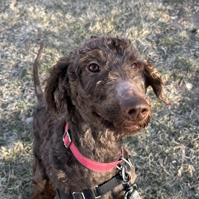 Brunohome Visit In Process thumbnail 2