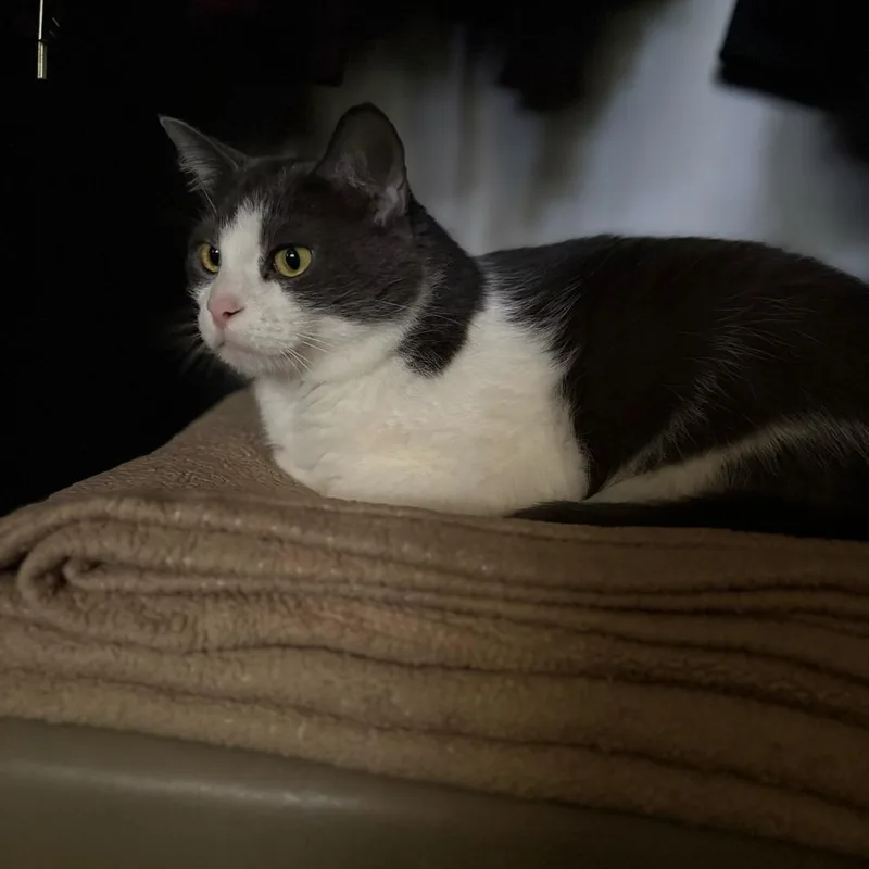 Precious thumbnail 2