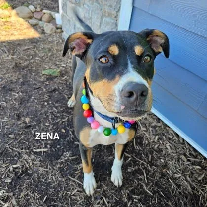 Warrior Princess Zena thumbnail 2