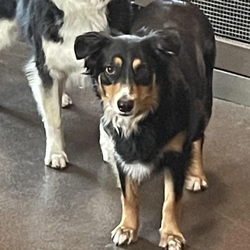 Millie  Home To thumbnail 3