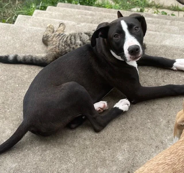 Hercules thumbnail 2