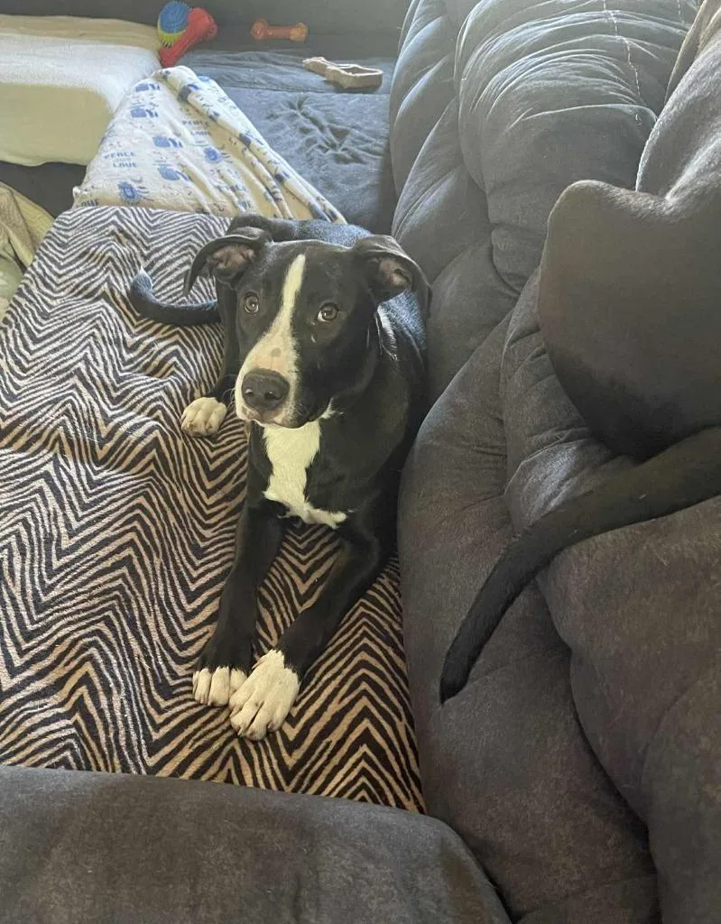 Hercules thumbnail 3