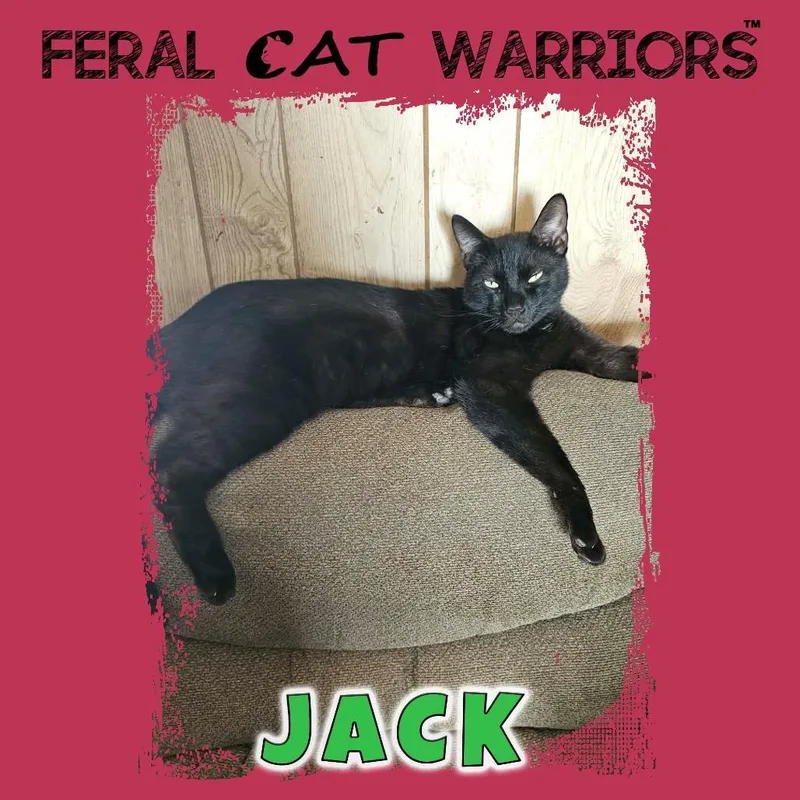 Jack