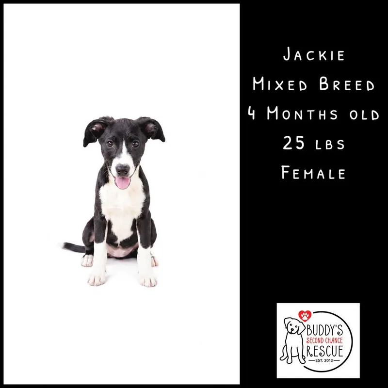 Jackie thumbnail 4