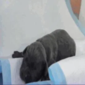 Superior thumbnail 3