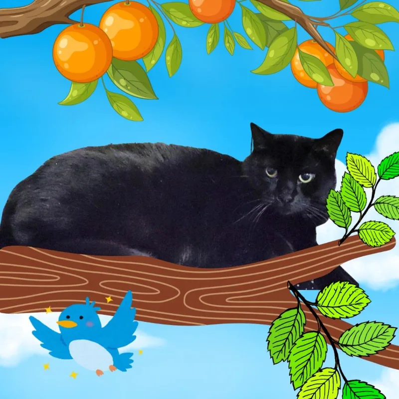 Michaelangelo thumbnail 2