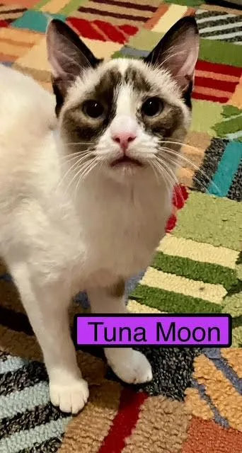 Tuna Moon