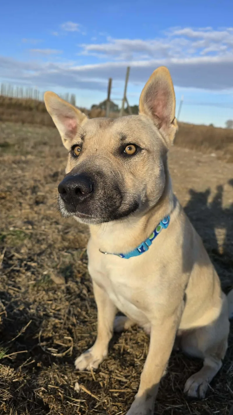 Katniss: Currently In Ridge