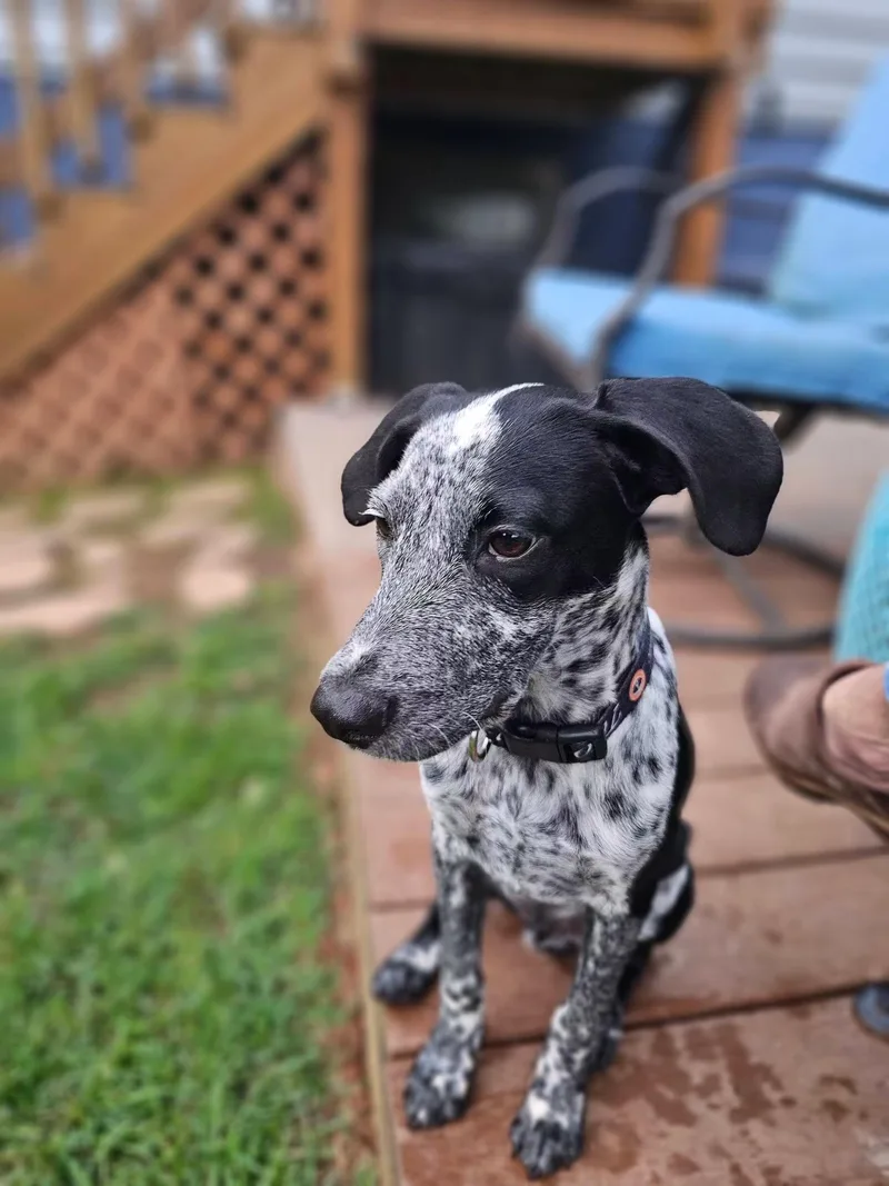 Oakley