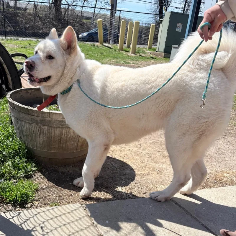 Ghost Girl thumbnail 2