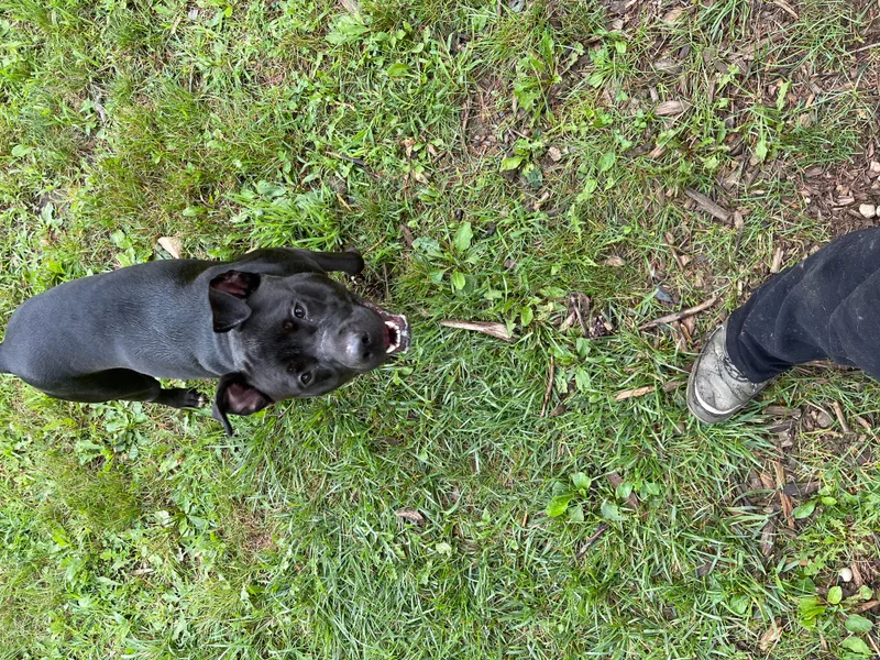 Ellie thumbnail 3
