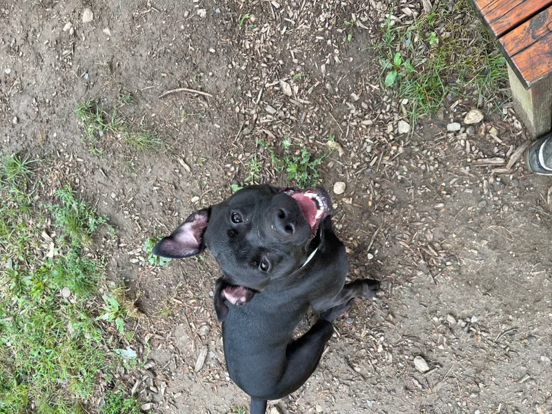 Ellie thumbnail 5