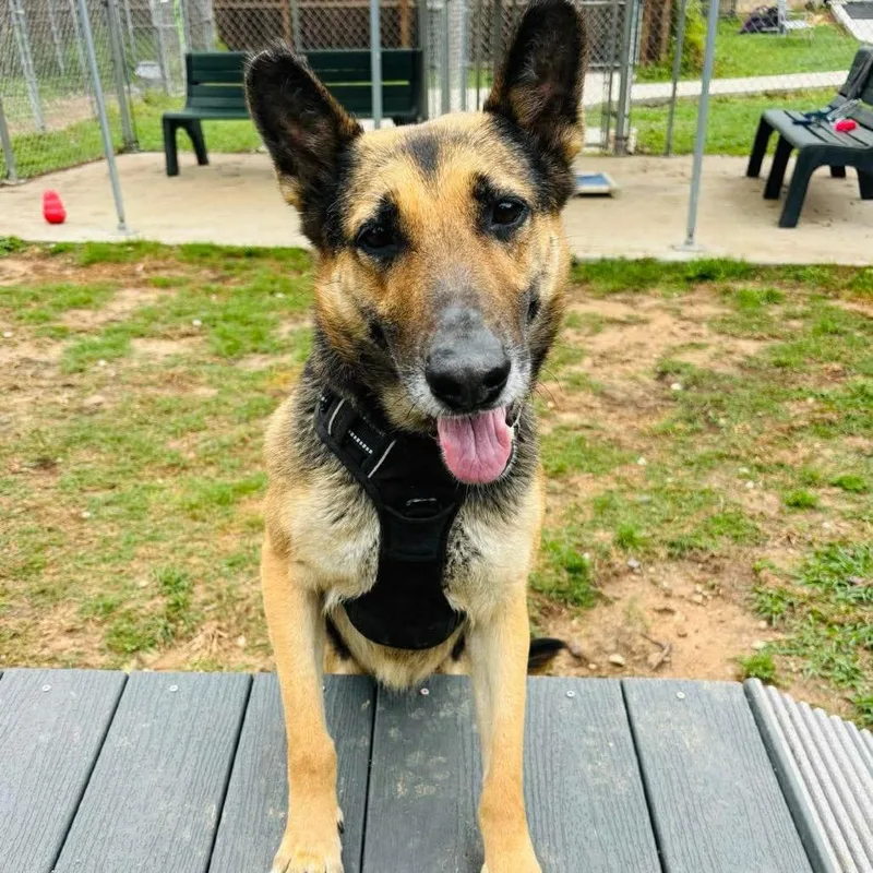 Miss November thumbnail 2