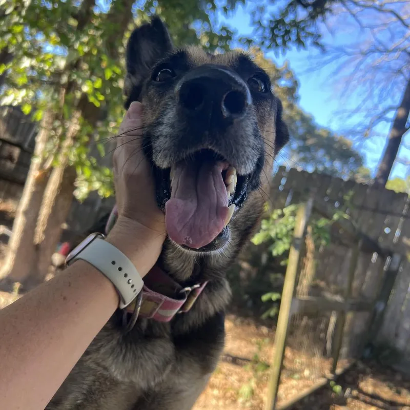 Miss November thumbnail 3